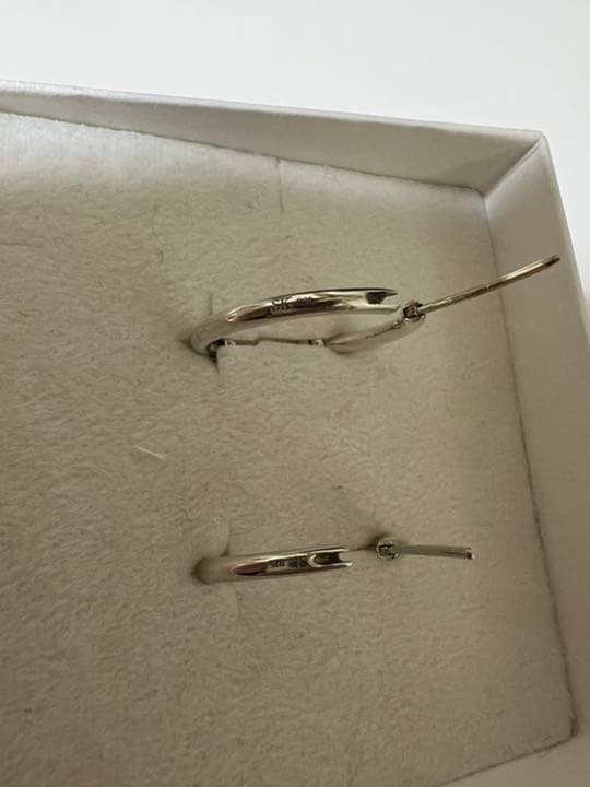 登坂広臣着用 Spinelli Kilcollin フープピアス