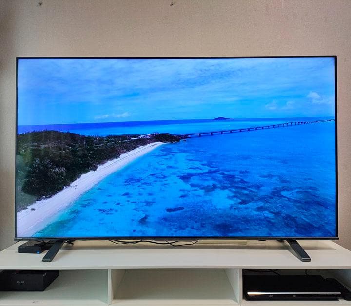 75インチ 送料・設置込 REGZA 75M540X 2画面 チューナー8基