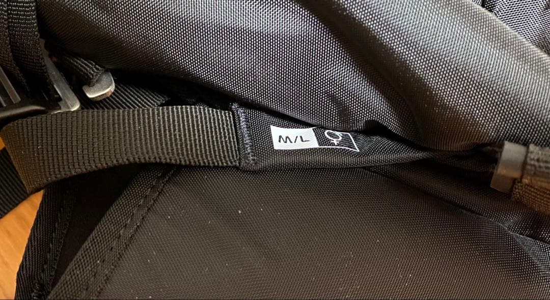 SALOMON MTN 30 ユニセックス スキーバック バックパック