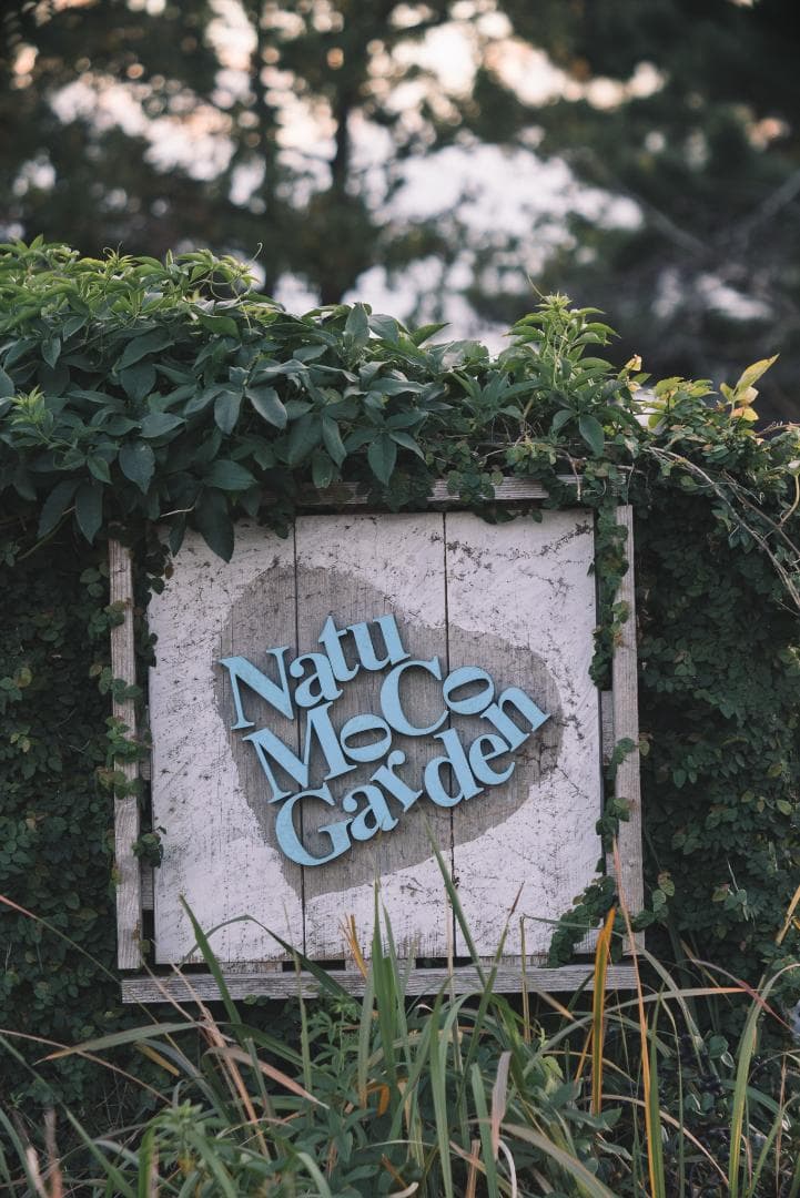 ライカ沼の入口！Leica Hektor 135mm F4.5 オールドレンズ