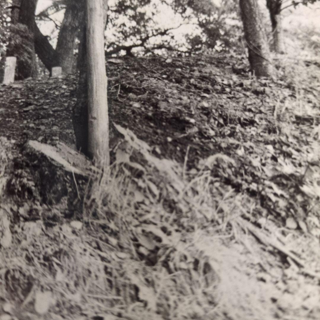 とても古いオリジナルプリントです。避暑地で撮られたもの