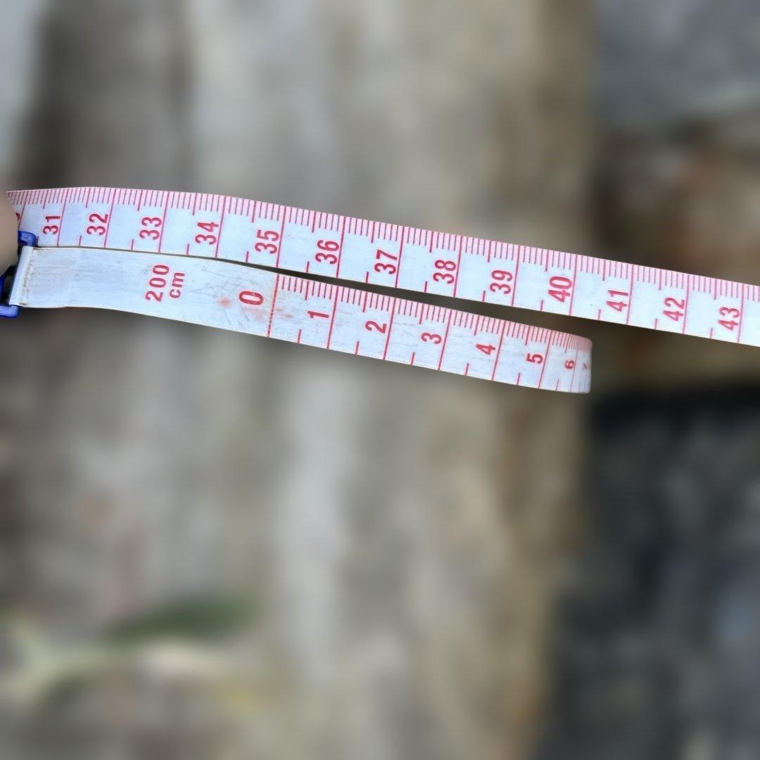 オリーブ　挿し木　太枝挿し木　盆栽