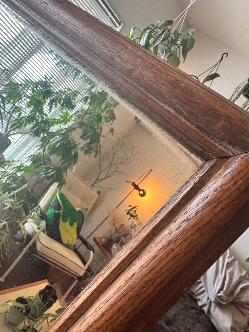 カンサイジン　ライトイヤーズ　lightyears フランスアンティーク