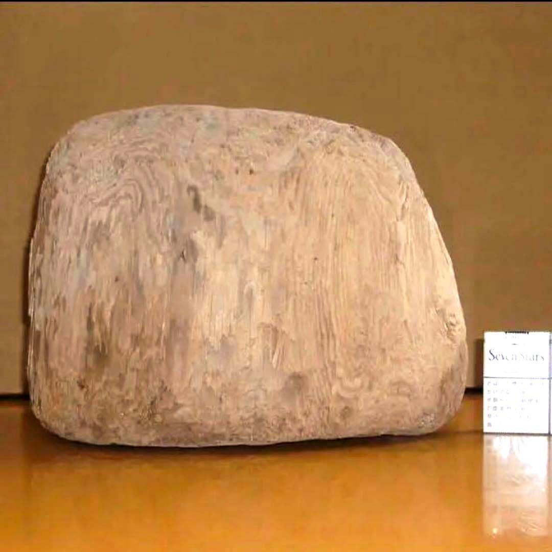 流木に感動‼️瀬戸内海 漂流 丸太 樹齢約50年 玉切り 切り株 盆栽の台 腰掛け