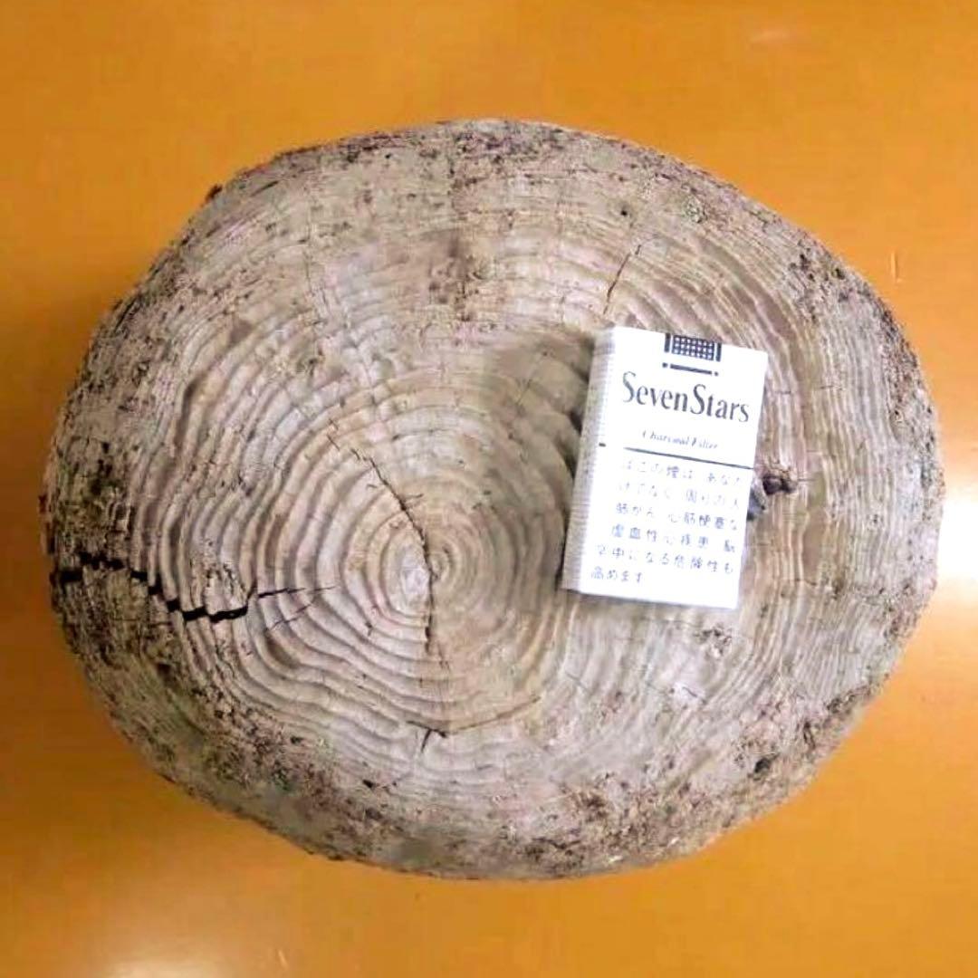 流木に感動‼️瀬戸内海 漂流 丸太 樹齢約50年 玉切り 切り株 盆栽の台 腰掛け