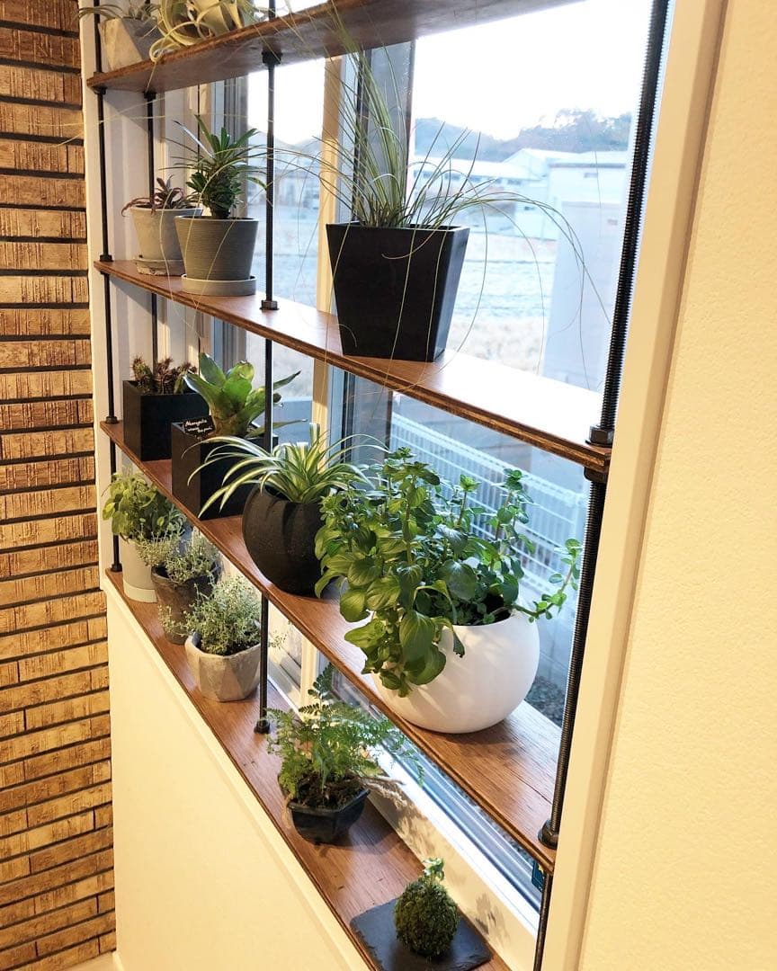 TVで紹介！窓枠における収納棚！tasty ウッドラック 壁面収納ラック