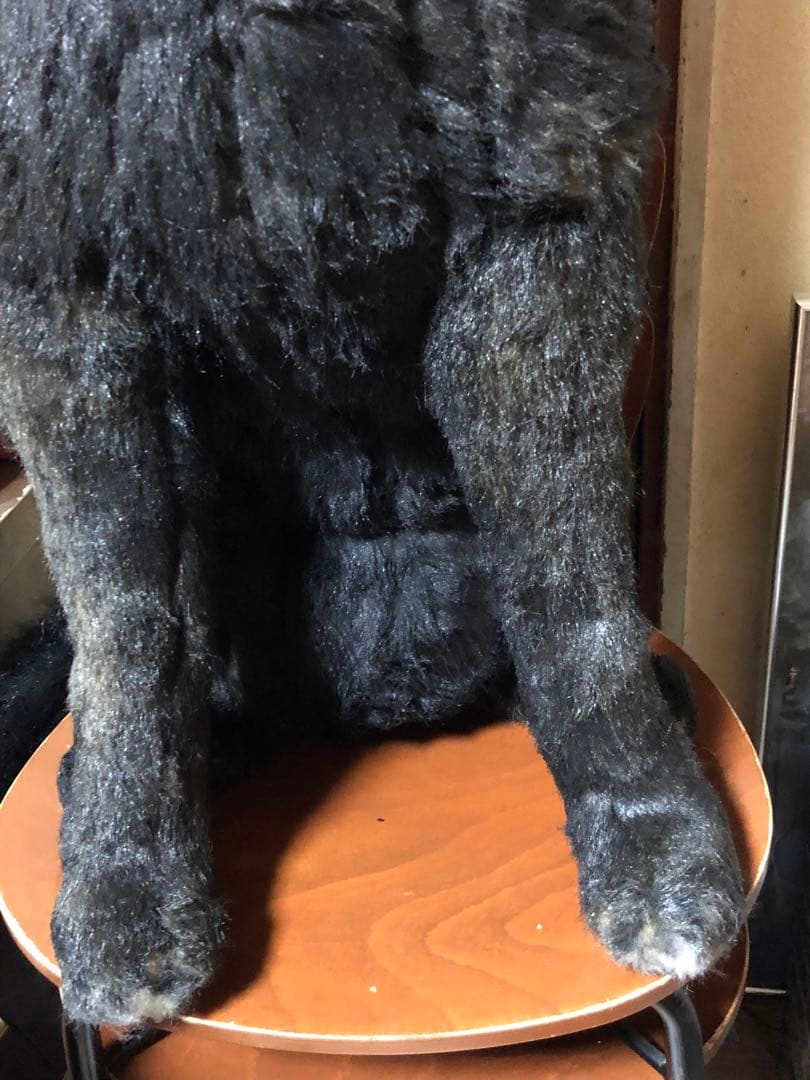 ☆大特価☆大型犬ぬいぐるみ 黒