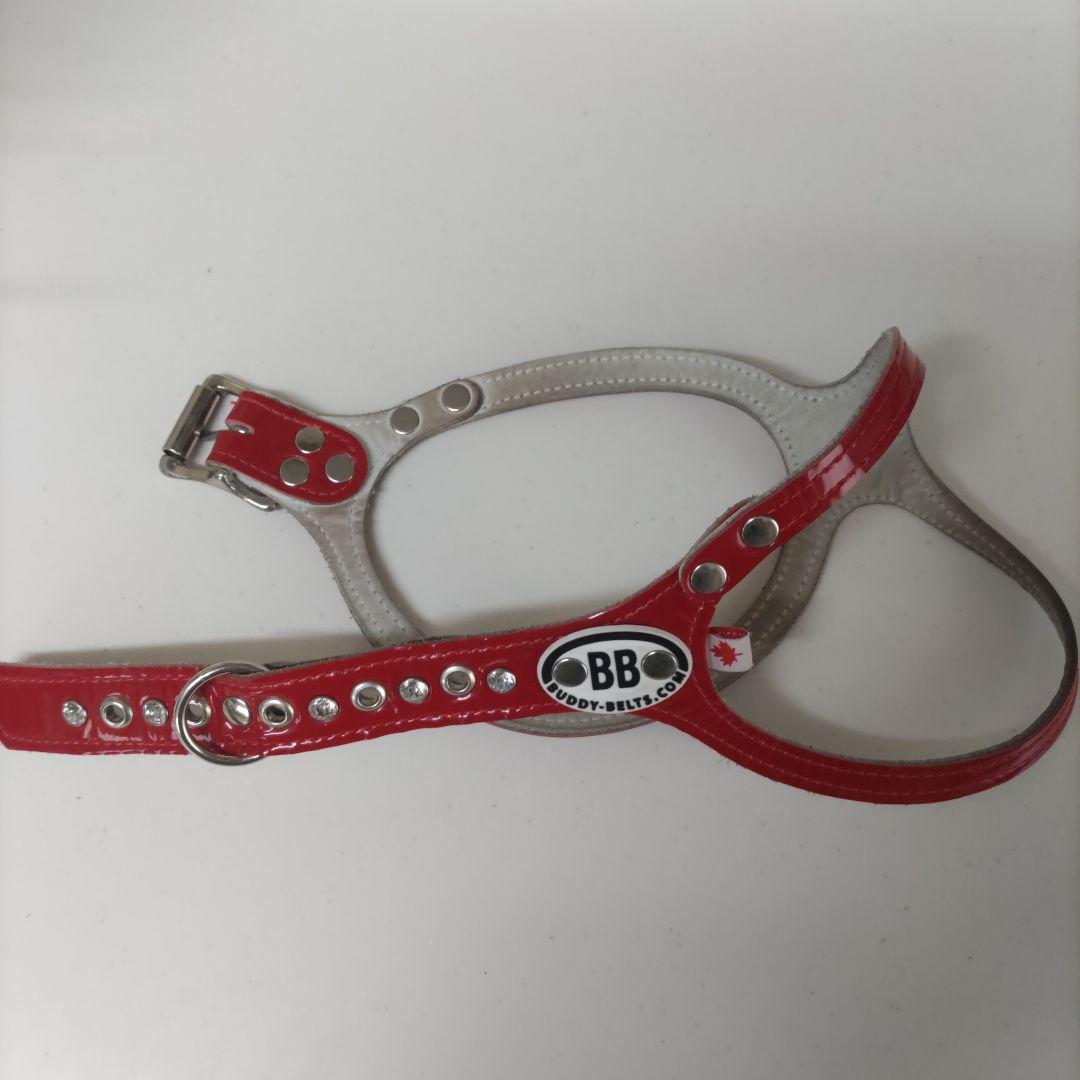 バディ－ベルト ハ－ネスBBベルト ６号エナメルレッド！ スワロフスキー付き