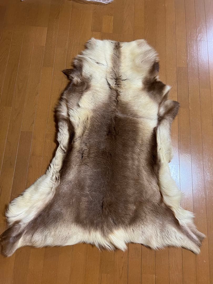 トナカイ毛皮　本物　高級品
