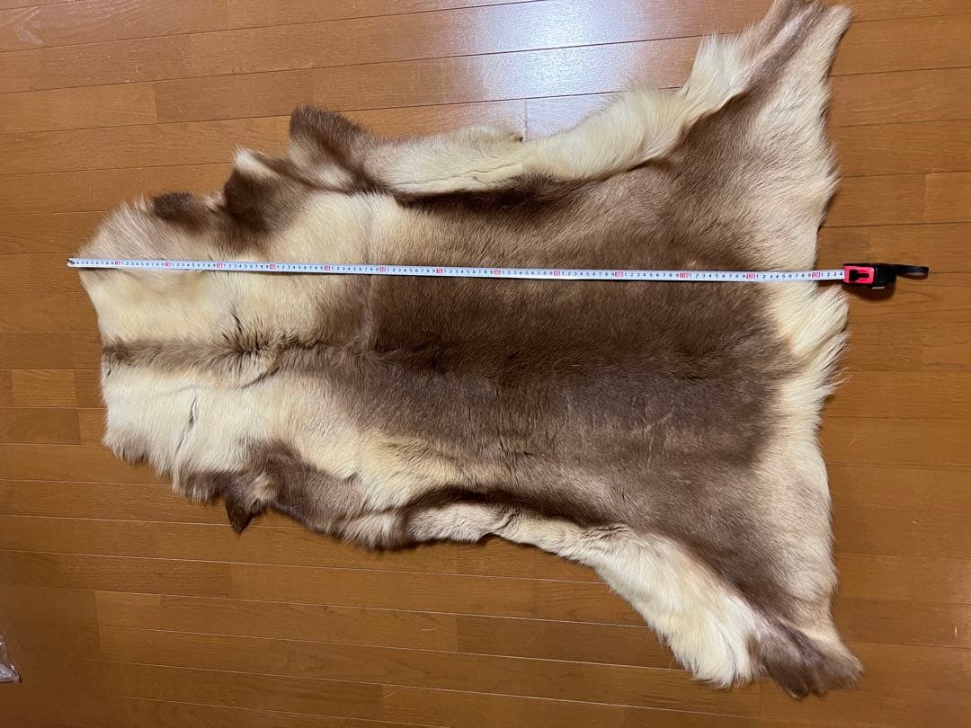トナカイ毛皮　本物　高級品