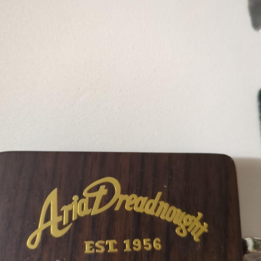 アコースティックギター ギターケース付き ARIA