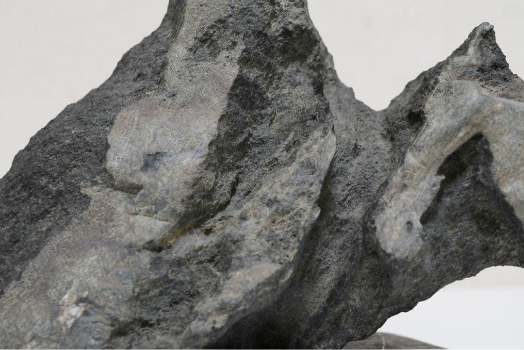 福岡県　千仏石　紫檀台座、箱付き　鑑賞用石　水石　天然石