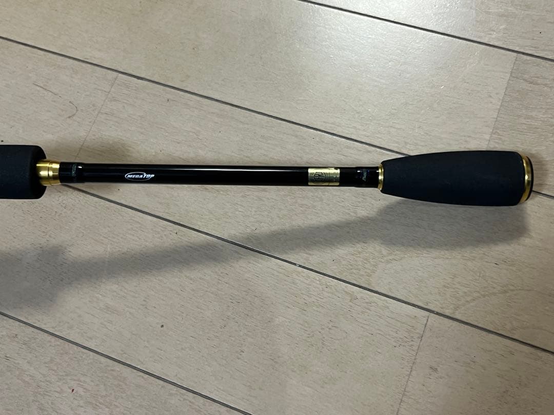 ダイワDAIWA チニングロッドSALTISTソルティストAGS CN79LML