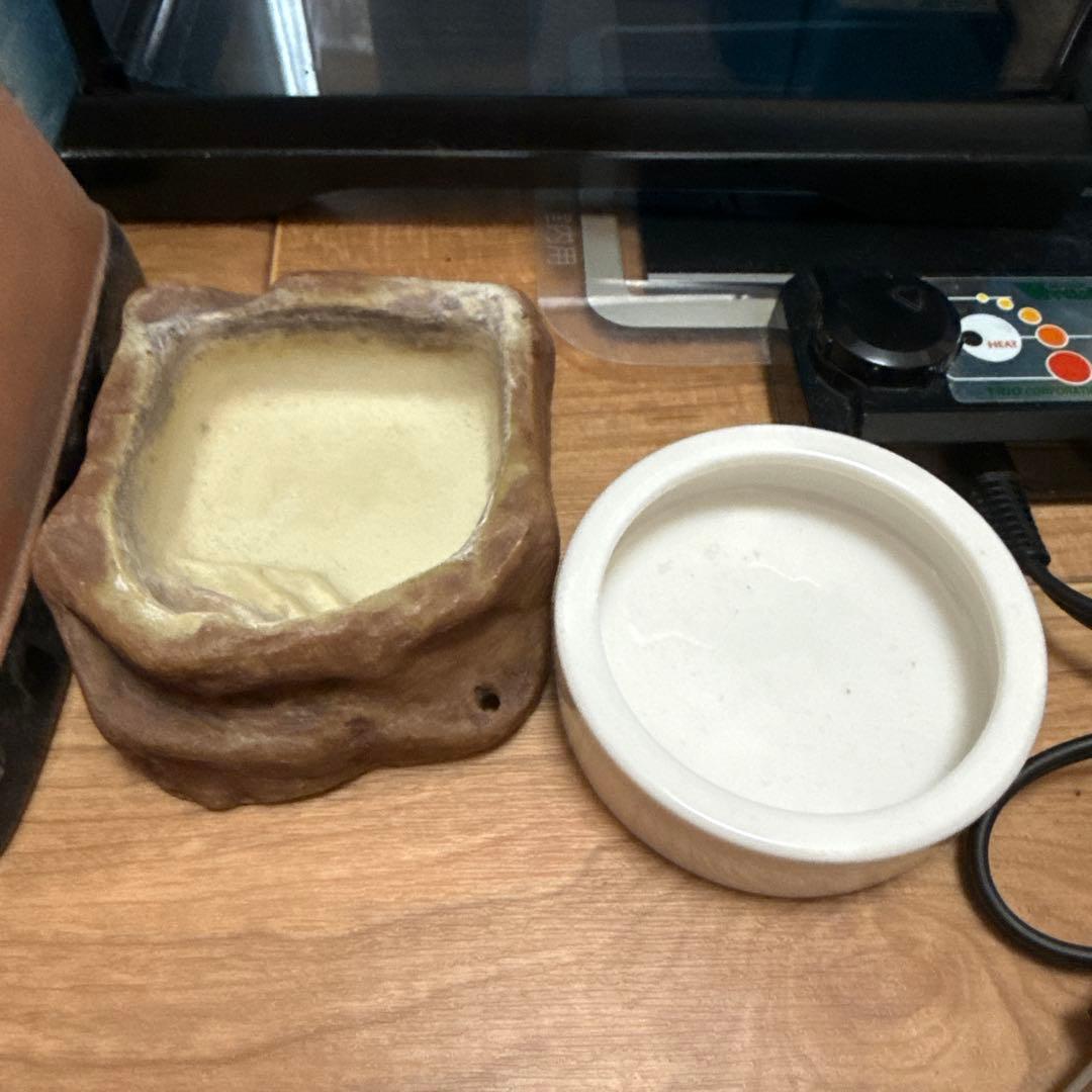 GEX EXOTERRA グラステラリウム ナノキューブ レオパ飼育セット