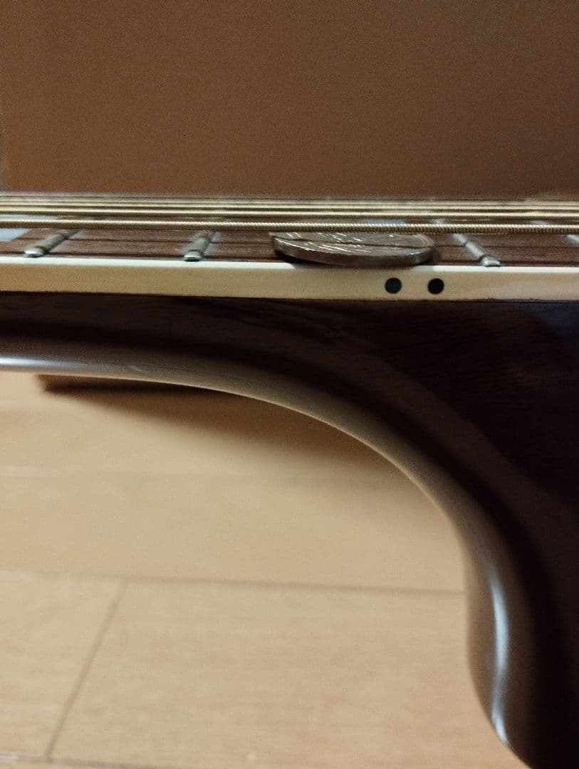 マウンテン＜W-450＞日本製・林楽器製作・トップ単板 guildタイプ