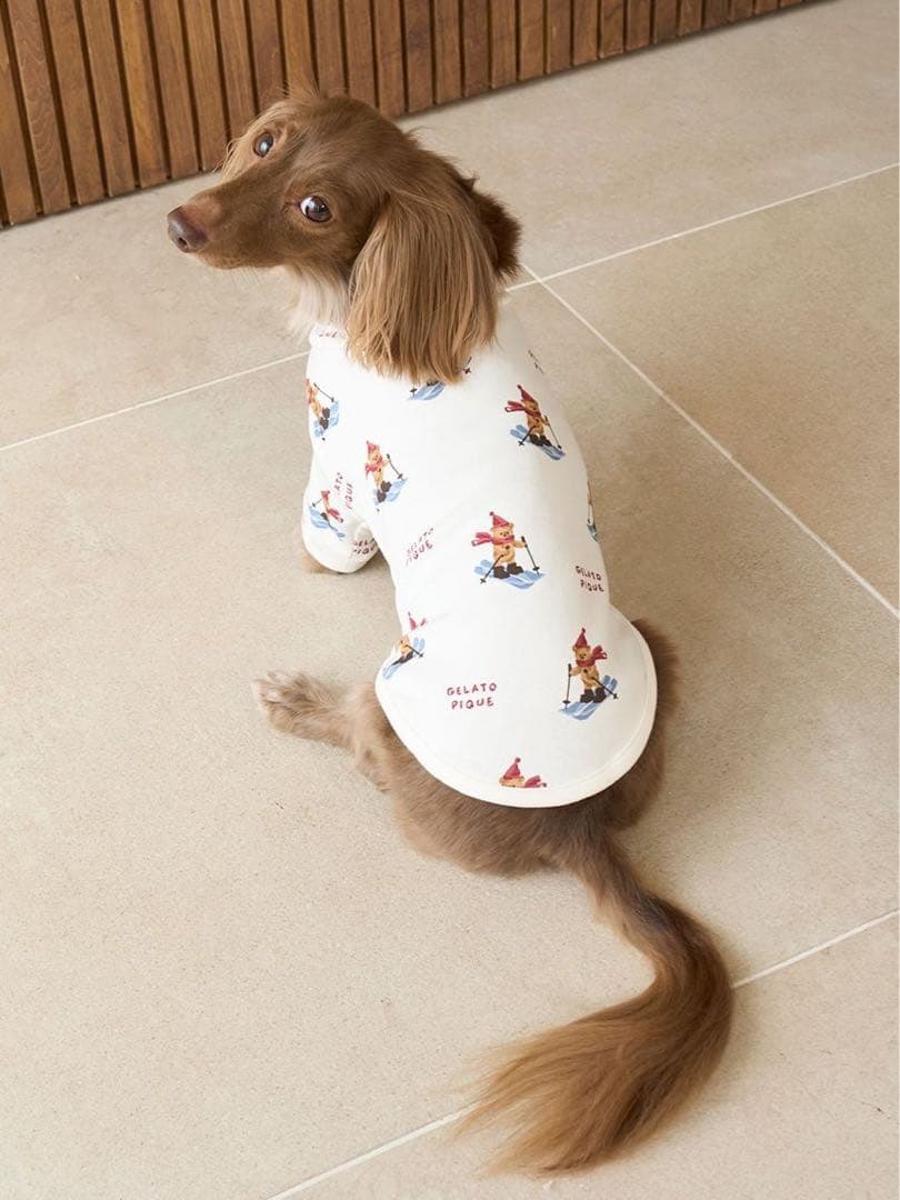 新品タグ付★ジェラートピケ 犬用服 スキーベア柄カットソー Sサイズ