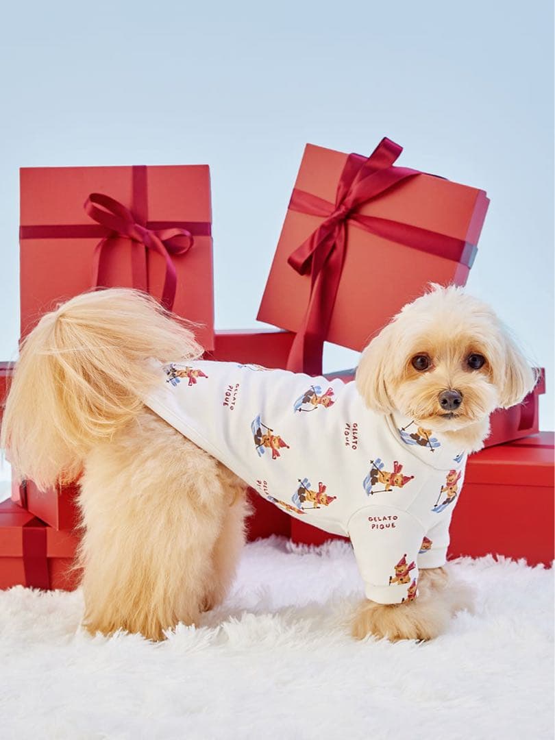 新品タグ付★ジェラートピケ 犬用服 スキーベア柄カットソー Sサイズ