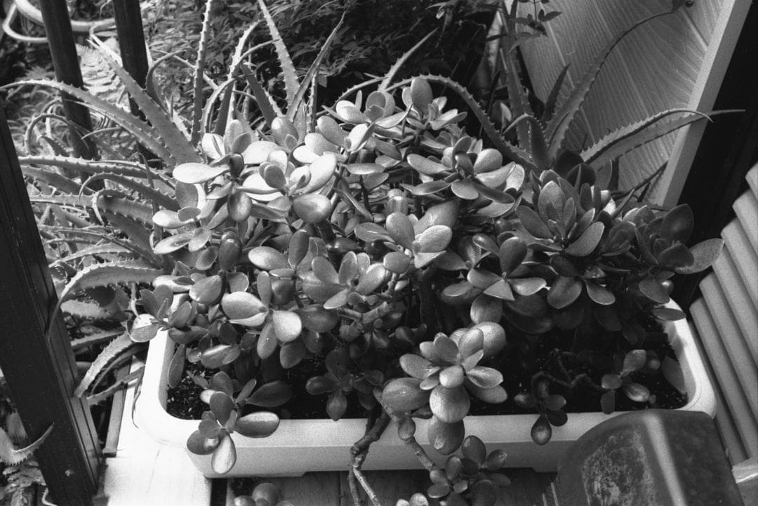 も*ん様 NikonフォトミックFTN本体、レンズ2本、テレプラス＆ケース付き