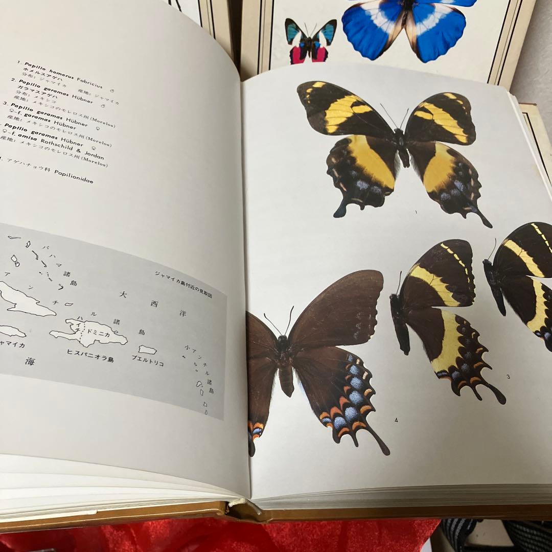 世界の昆虫1〜6図鑑