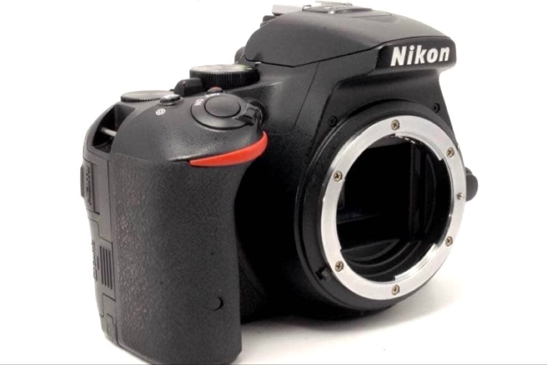 ✨高画質✨Nikon D5500 すぐスマホに送れる Wi-Fi搭載 動画撮影も