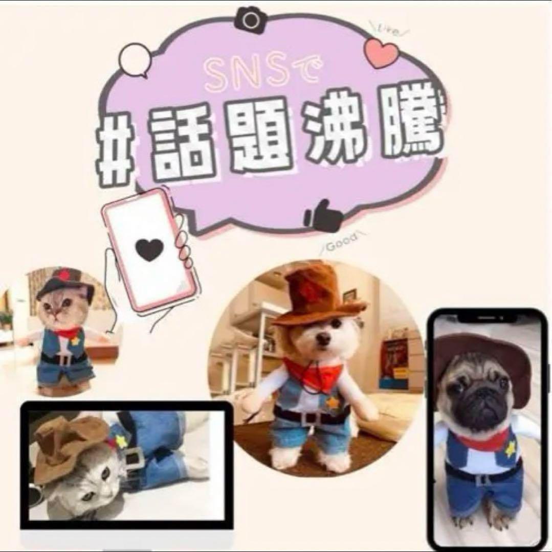 ★匿名配送✨ ペットパレット 犬 猫 コスプレ ハロウィン ペット 可愛い