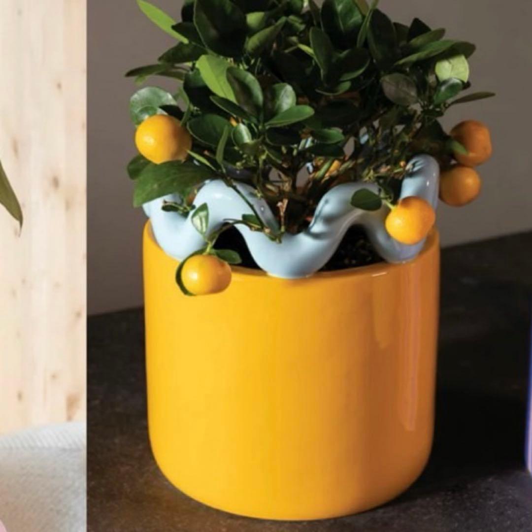 最終お値下げ‼️ 陶器　オレンジ　大きいサイズ　カワイイ　デザイン　鉢　カバー