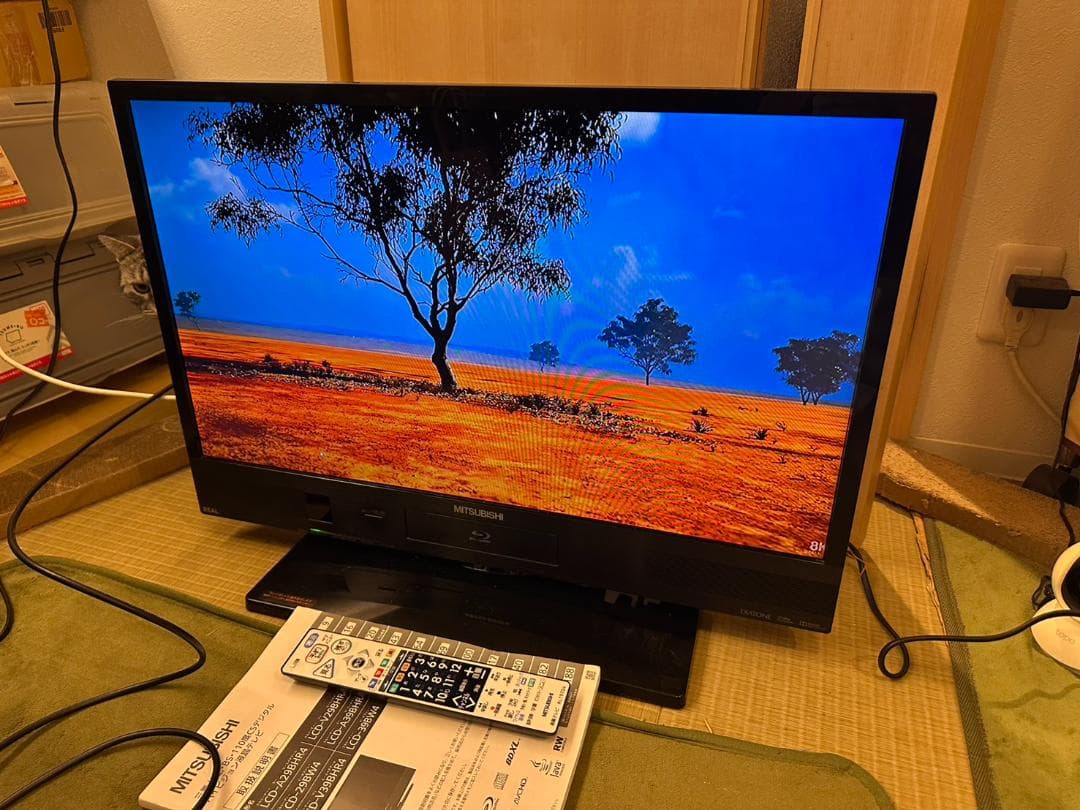 三菱 29型 テレビ Blu-ray&HDD内蔵 LCD-V29BHR4 超美品