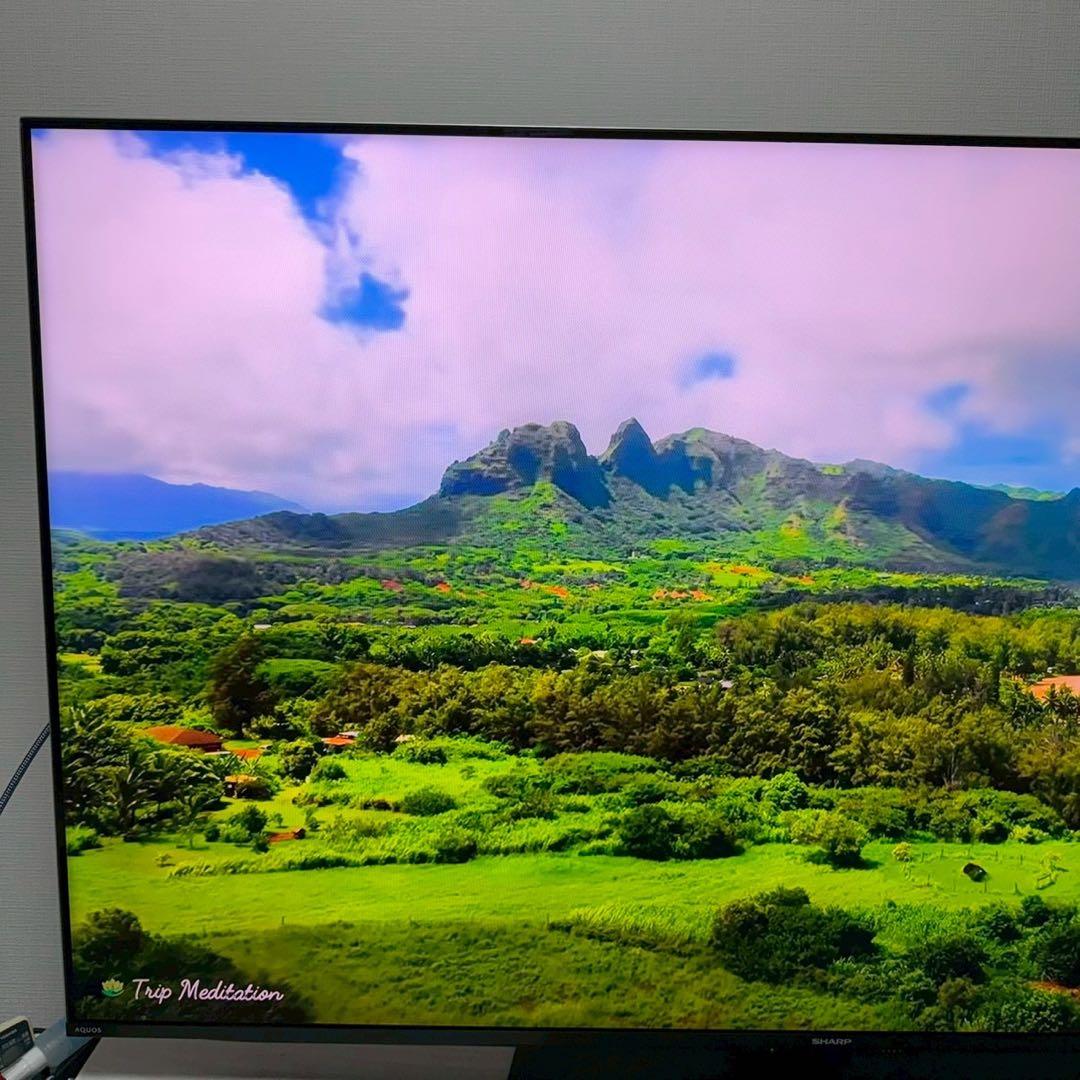 【極美品】SHARP AQUOS 4Kテレビ 4T-C55DP1 2022年製