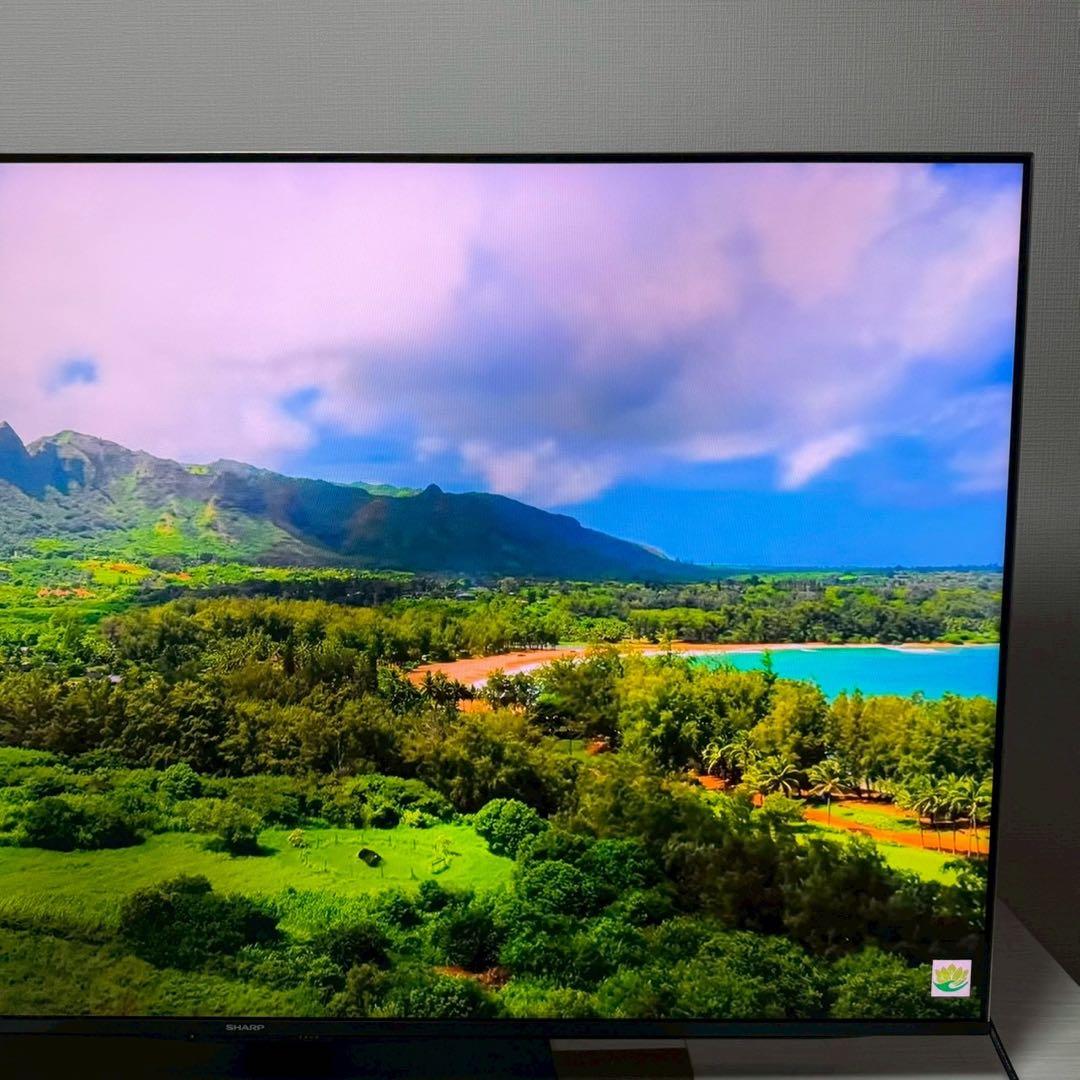 【極美品】SHARP AQUOS 4Kテレビ 4T-C55DP1 2022年製