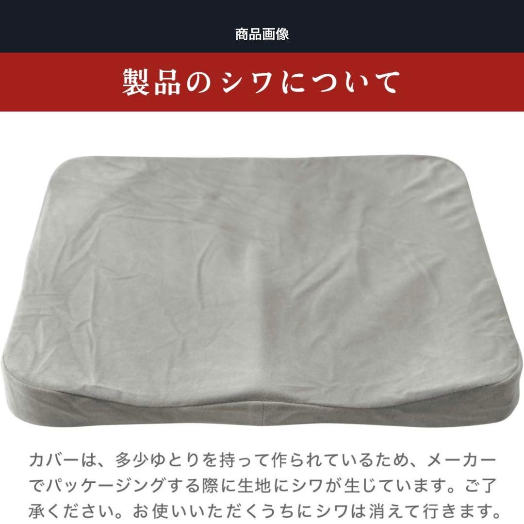 サテライト BODYLINE クッション バックハガー セット