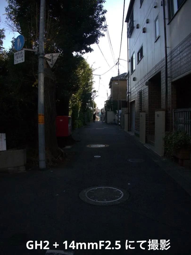 【美品/光学クリア】LUMIX G 14mm F2.5 ASPH. パンケーキ