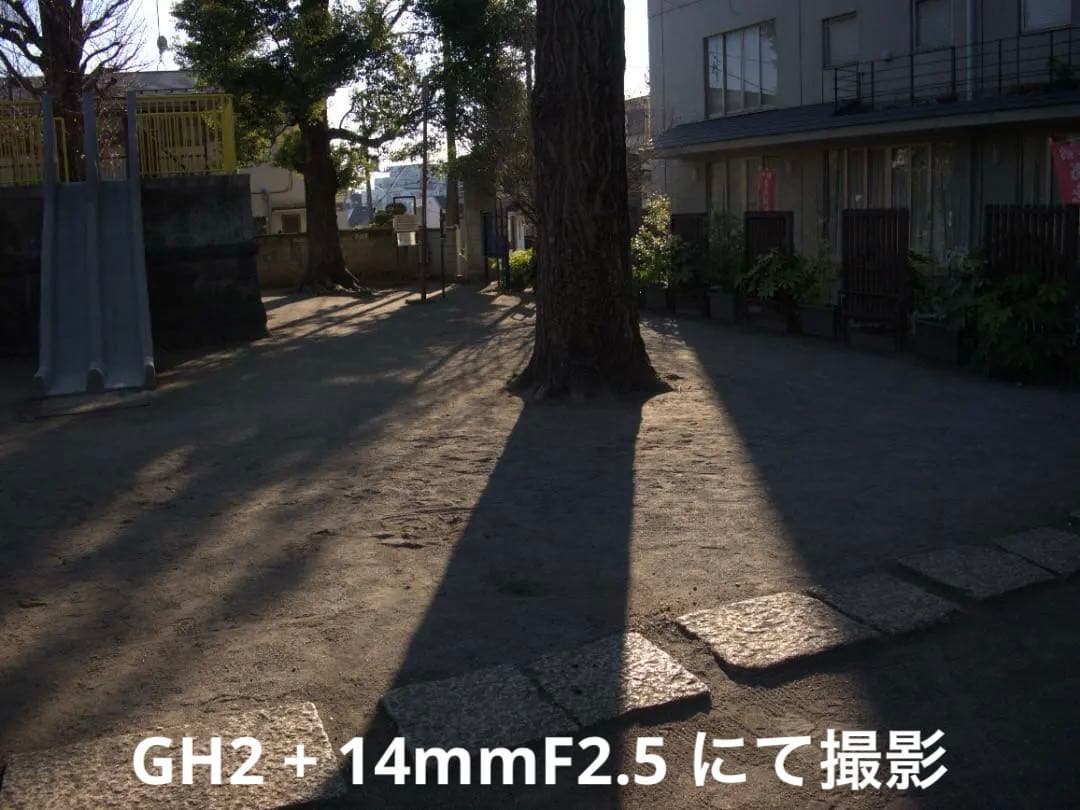 【美品/光学クリア】LUMIX G 14mm F2.5 ASPH. パンケーキ