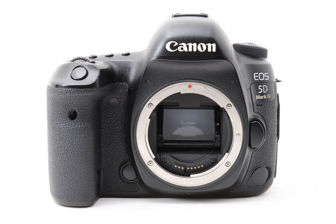 高画質/保証付/Canon EOS 5D Mark IV標準&望遠レンズセット