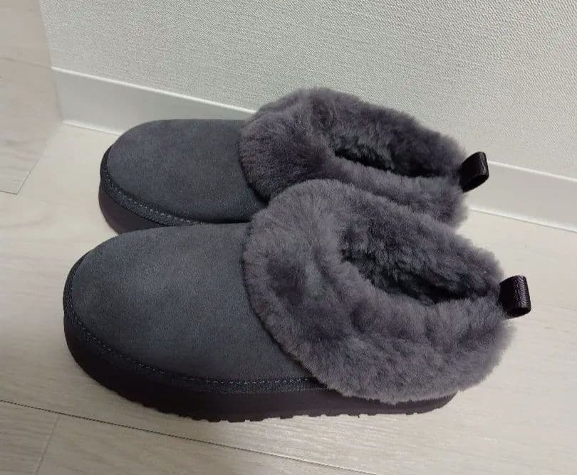 UGG タゼル グレー24 箱とタグなし 室内にて試着のみ