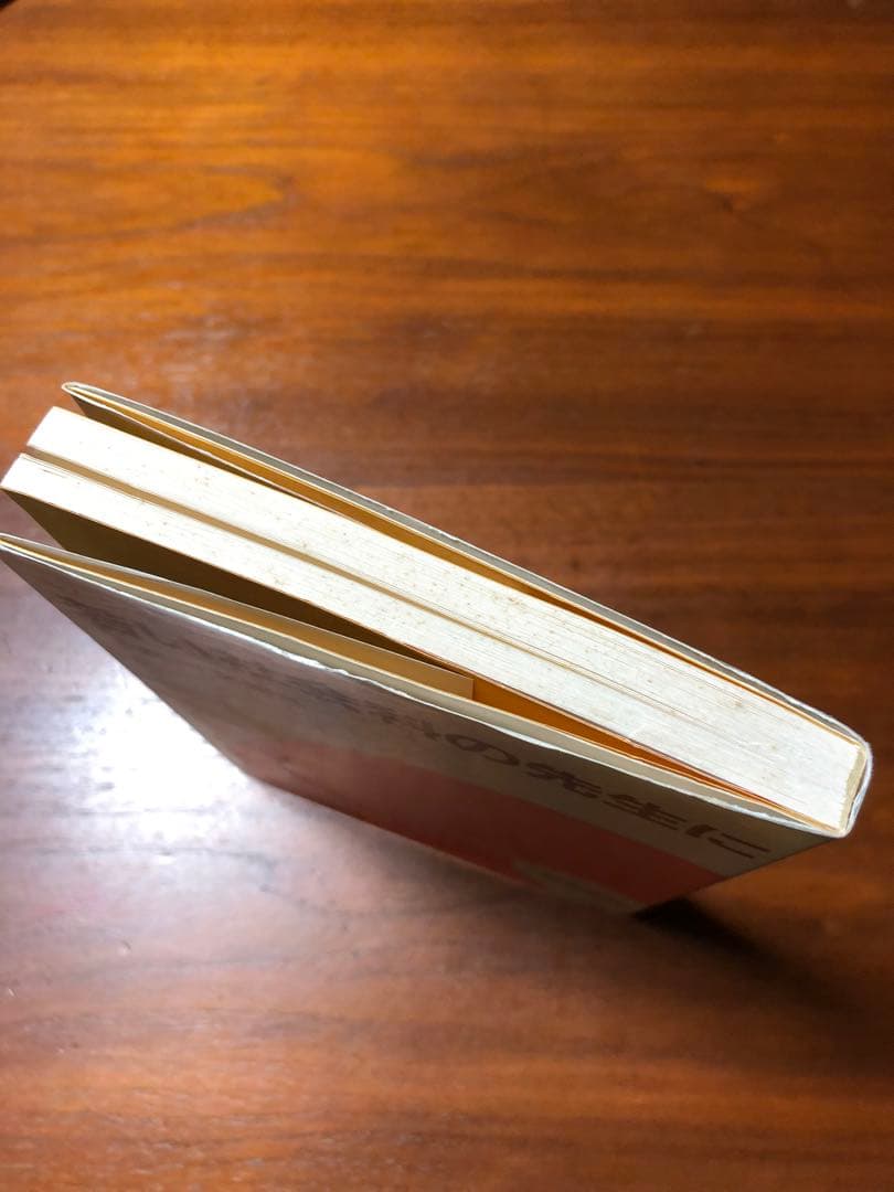 【絶版　超貴重】長岡文雄『若い社会科の先生に』