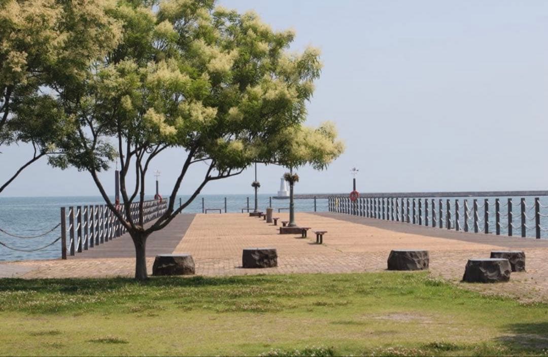 ★ OLYMPUS OM-1 (外箱付) + ★ 標準レンズ 50mm