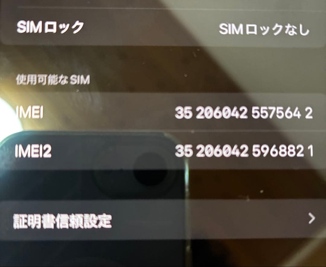 iPhone13promax 256GB シエラブルー