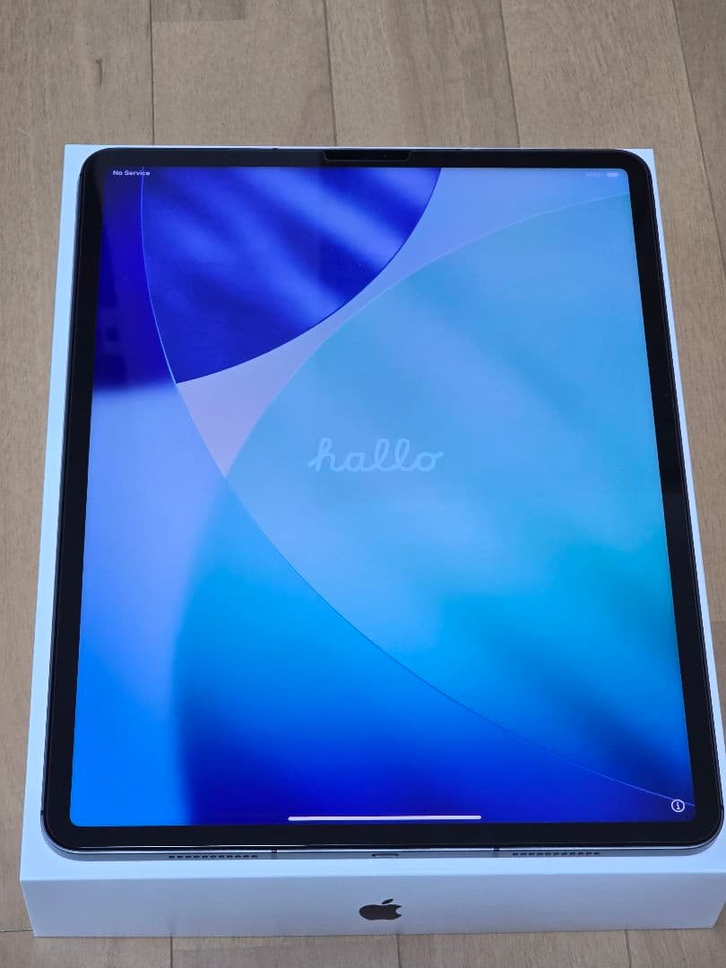 iPadPro 12.9 (第5世代) 512GB Wi-Fi+Cellular