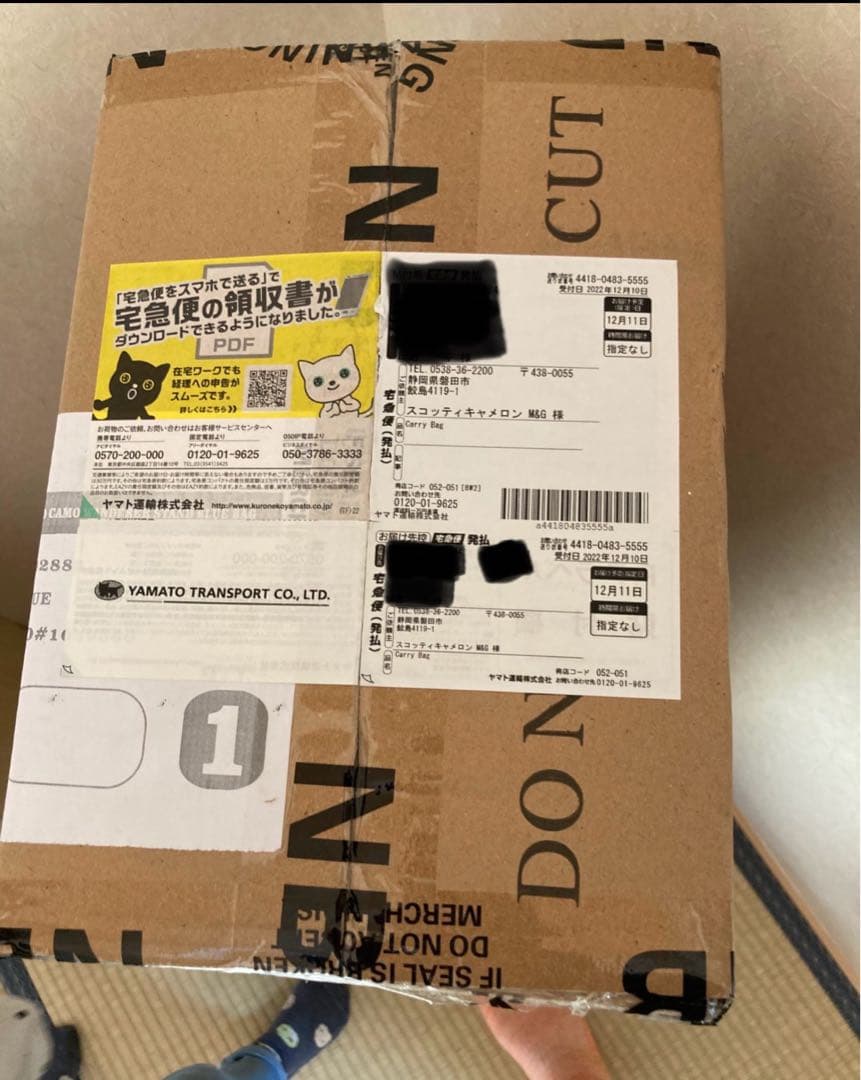 スコッティキャメロンサークルTキャディバッグ