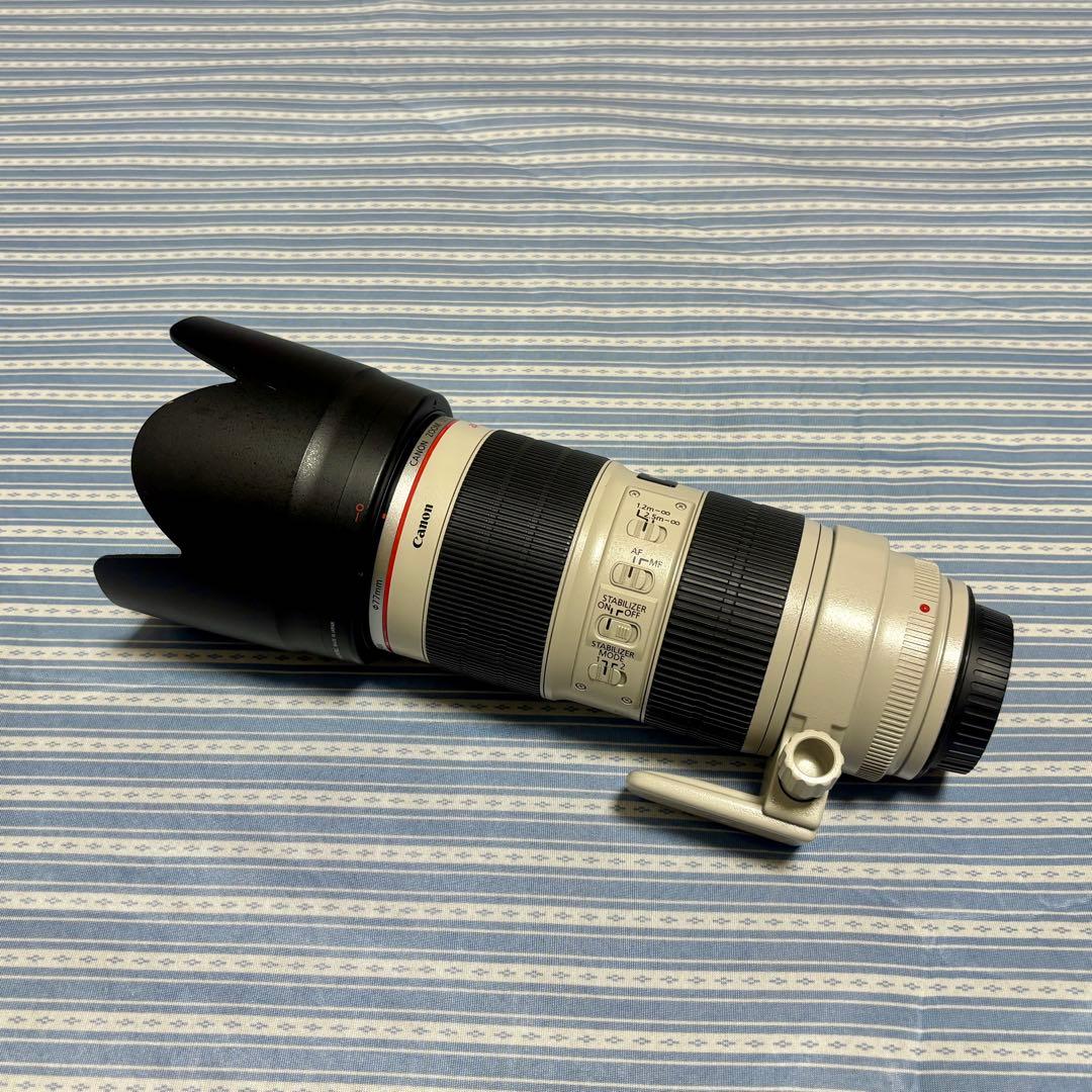 2型 EF70-200mm f2.8L IS II USM