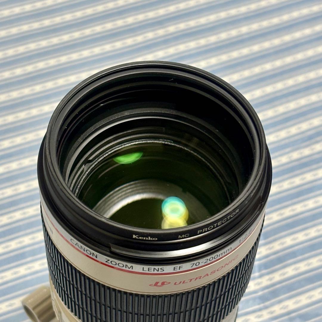 2型 EF70-200mm f2.8L IS II USM