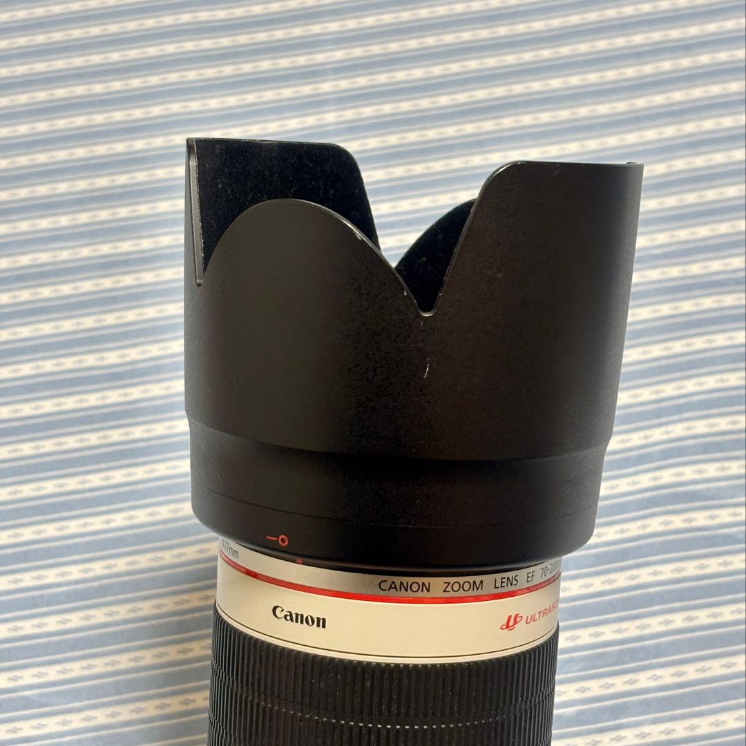 2型 EF70-200mm f2.8L IS II USM