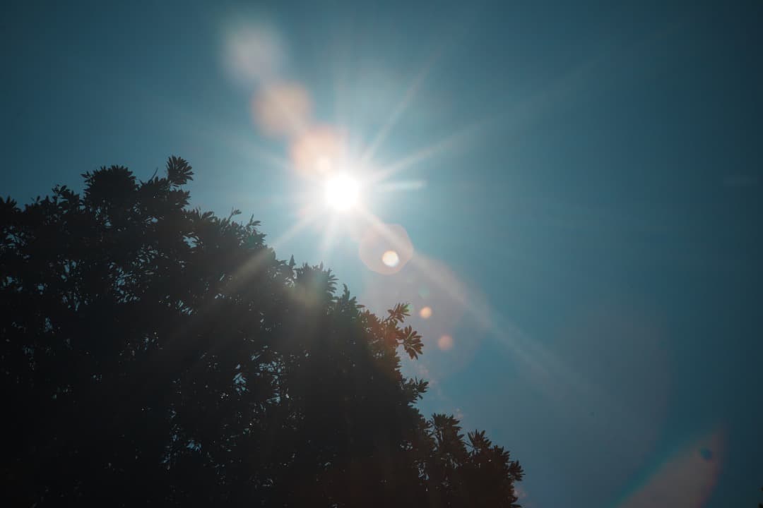 【美品】Canon 50mm F1.2 L39 キャノン ライカL 904