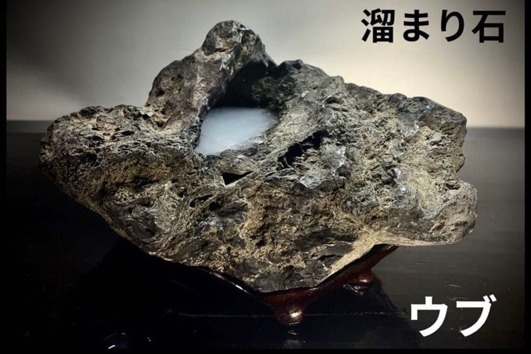 5041 瀬田川蓬巣立石 ウブ 銘『幽邃の淵』溜まり石 水石骨董