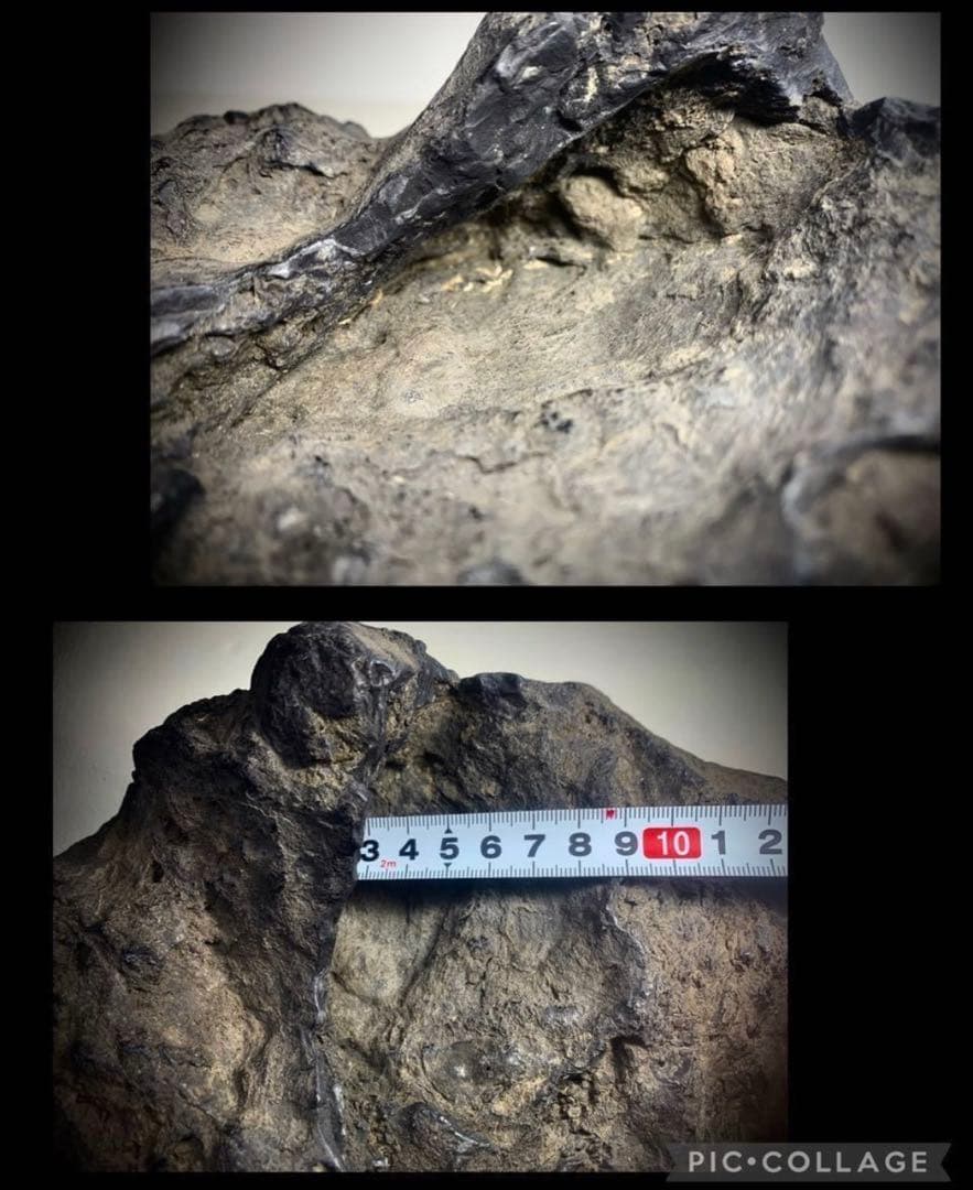 5041 瀬田川蓬巣立石 ウブ 銘『幽邃の淵』溜まり石 水石骨董