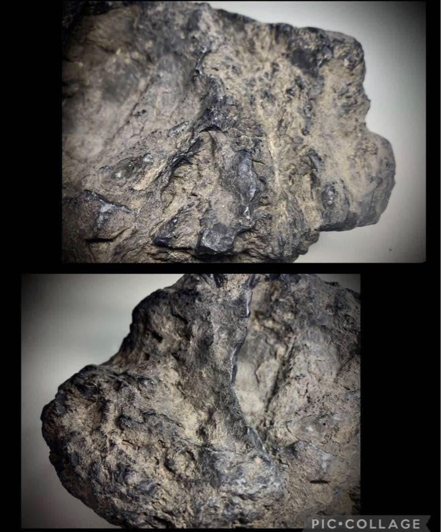 5041 瀬田川蓬巣立石 ウブ 銘『幽邃の淵』溜まり石 水石骨董