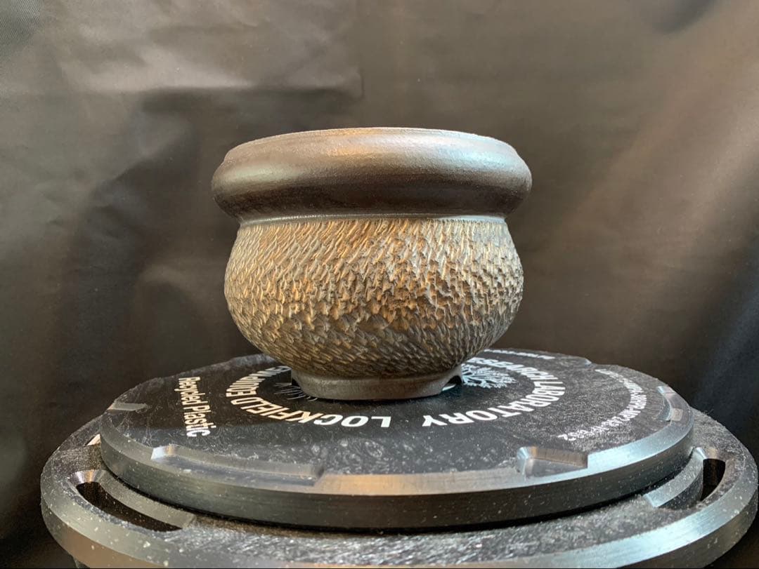 goujin botanize ゴウジン　ボタナイズ