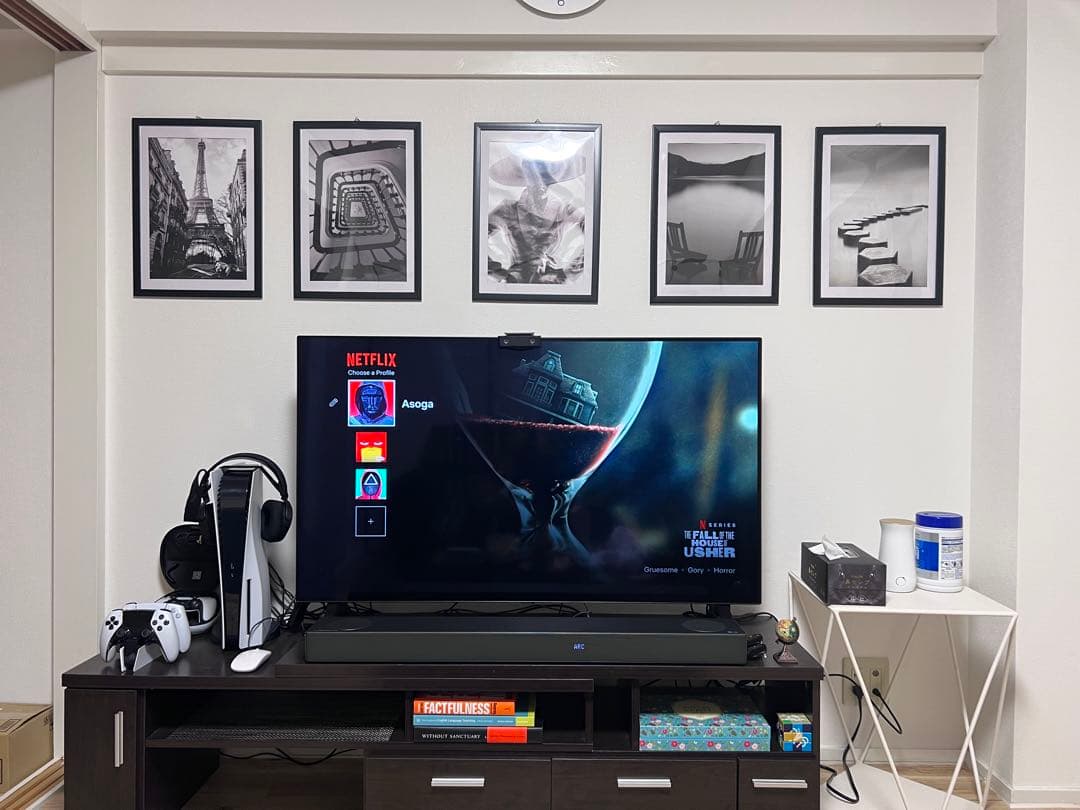 テレビ LG OLED48A1PJA BLACK