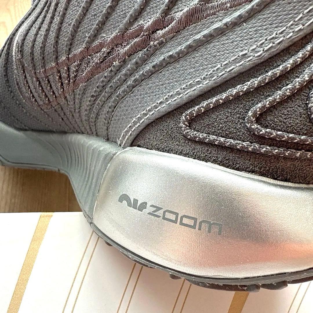 Nike LeBron XXI EP クールグレー 29cm / 美品 実戦向き