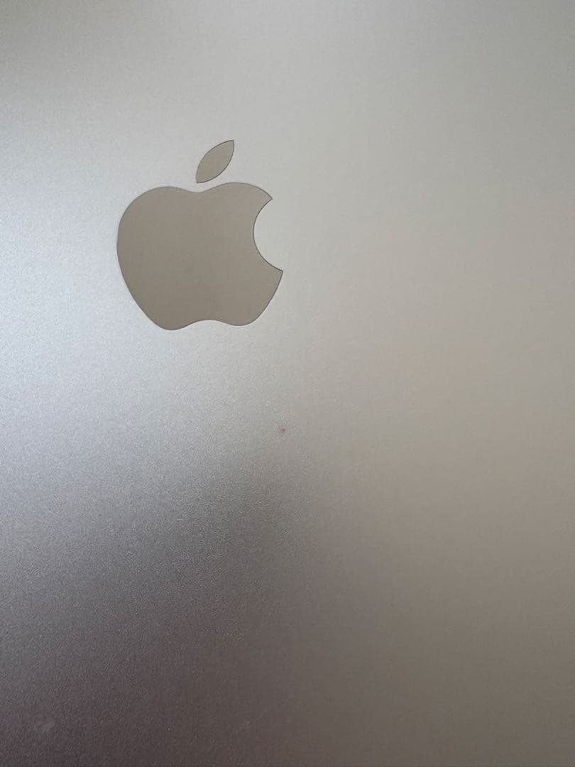 Apple iPadAir2※3月発送